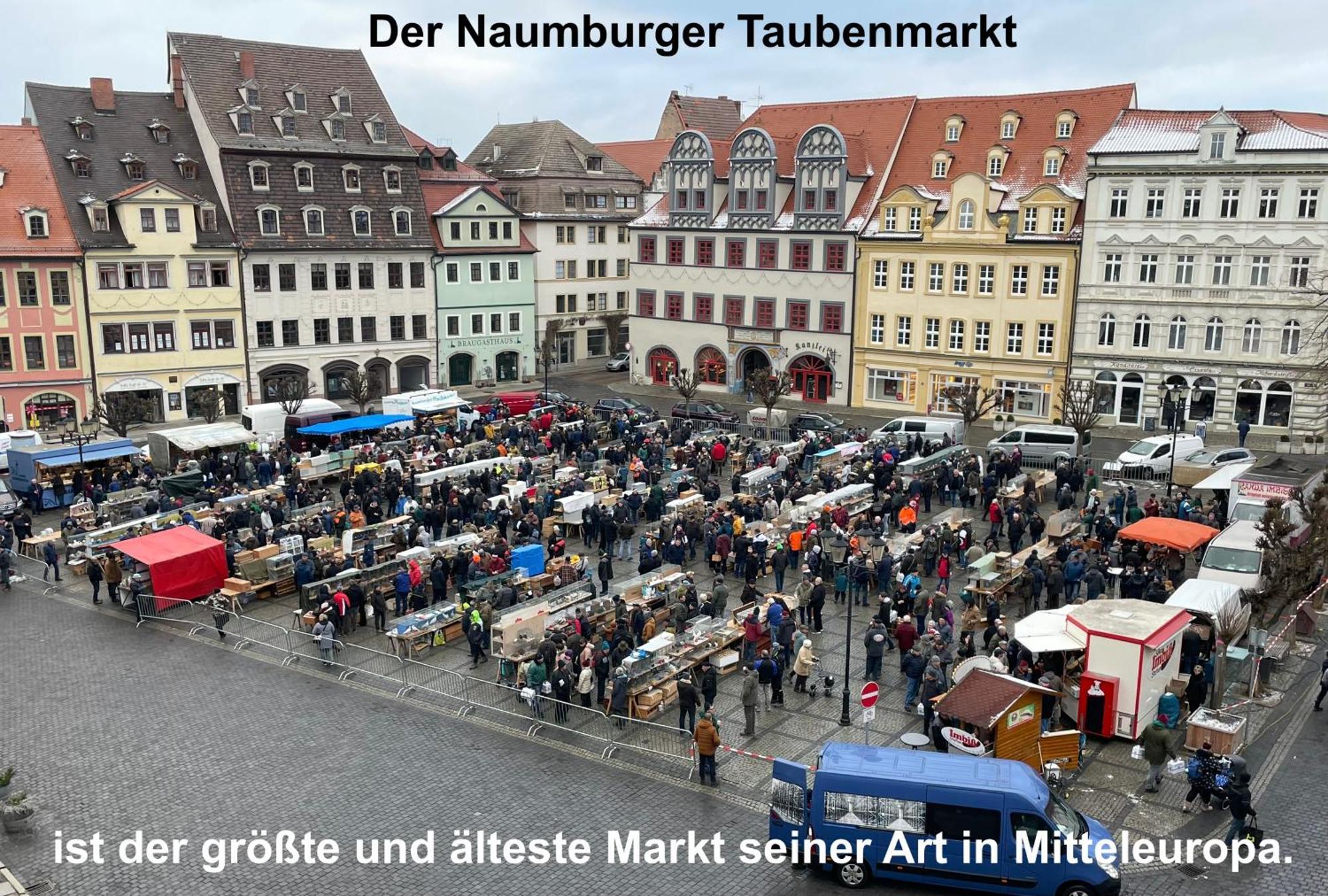 Brix Apartment Naumburg  Buitenkant foto